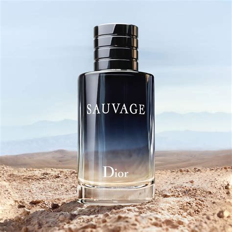 dior sauvage 2022 batch|Dior Sauvage perfume for men.